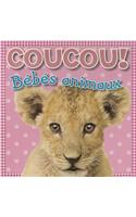 Coucou! Bébés Animaux