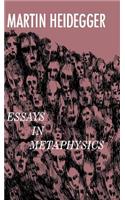 Essays in Metaphysics