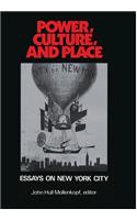 Power, Culture and Place: Essays on New York City