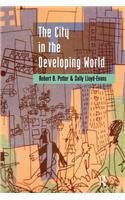 City in the Developing World