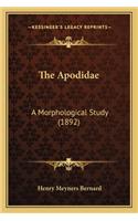 Apodidae