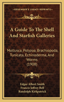 A Guide To The Shell And Starfish Galleries