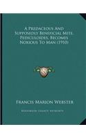 A Predaceous And Supposedly Beneficial Mite, Pediculoides, Becomes Noxious To Man (1910): (English)