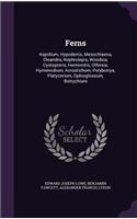 Ferns