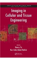 Imaging in Cellular and Tissue Engineering