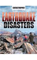 Earthquake Disasters