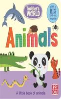 Toddler's World: Animals