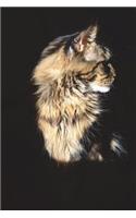 Profile Portrait of a Beautiful Maine Coon Cat Journal: 150 Page Lined Notebook/Diary: 150 Page Lined Notebook/Diary