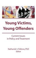 Young Victims, Young Offenders