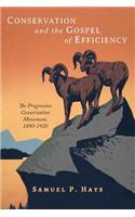 Conservation and the Gospel of Efficiency