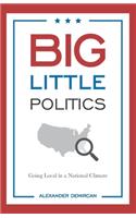 Big Little Politics
