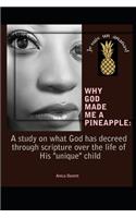 Why God Made Me a Pineapple: : A study on what God has decreed through creation and scripture over the life of His 'unique' child.