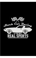 Stock car racing real sports