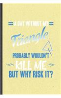 A Day Without My Triangle Probably Wouldn't Kill Me but Why Risk It
