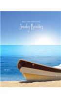 Sandy Beaches Undated 6-Month Planner Organizer: Weekly Monthly Calendar and Engagement Book