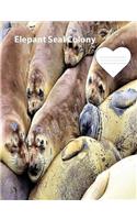 Elephant Seal Colony on Cover collegeruledlinepaper Composition Book: Seal fans, composition book to keep notes, school suppies, journal used for notes, student and teacher use