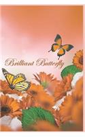 Brilliant Butterfly