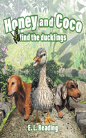 Honey and Coco find the ducklings