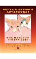 Bella and Gizmo's Adventures - The Hairless Sphynx Cats