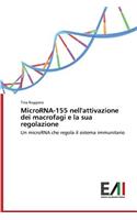 MicroRNA-155 nell'attivazione dei macrofagi e la sua regolazione