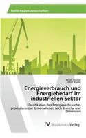 Energieverbrauch und Energiebedarf im industriellen Sektor