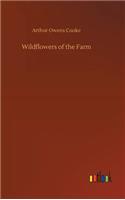 Wildflowers of the Farm