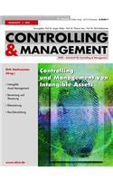 Controlling Und Management Von Intangible Assets