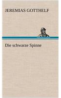 Schwarze Spinne