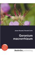 Geranium Macrorrhizum