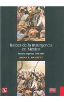 Raices de la Insurgencia en Mexico