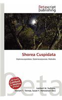 Shorea Cuspidata: (English)