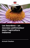 Les bourdons