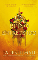 Un Reino Entretejido (This Woven Kingdom 1)