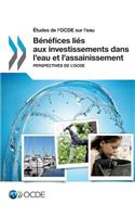 Etudes de L'Ocde Sur L'Eau Benefices Lies Aux Investissements Dans L'Eau Et L'Assainissement