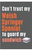 Can't trust my Welsh Springer Spaniel to guard my sandwich: For Welsh Springer Spaniel Dog Breed Fans