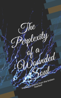 Perplexity of a Wounded Soul: A Dairy of Poems from the Broken Hearted