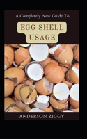 Completely New Guide To Egg Shell Usage