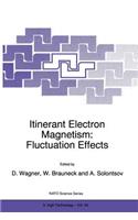 Itinerant Electron Magnetism: Fluctuation Effects