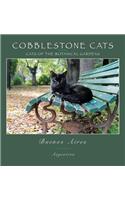 Cobblestone Cats - Buenos Aires