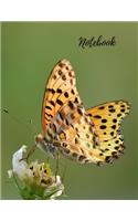 Notebook: Butterfly Notebook, Journal, Diary (110 Pages, Blank, 8.5 x 11)