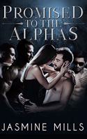 Promised to the Alphas: A Reverse Harem Omegaverse Dark Romance(3 Waxing Crescent)