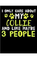 I Only Care About My Collie And Like Maybe 3 People