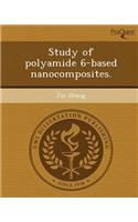 Study of Polyamide 6-Based Nanocomposites