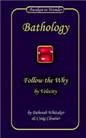 Follow the Why