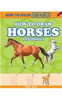 How to Draw Horses and Ponies: (How to Draw Animals)