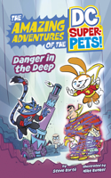 Danger in the Deep: (The Amazing Adventures of the DC Super-Pets)