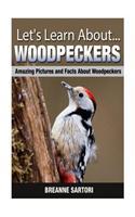 Woodpeckers: Amazing Pictures and Facts about Woodpeckers