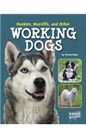 Huskies, Mastiffs, and Other Working Dogs: (Dog Encyclopedias)
