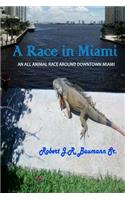 Race in Miami