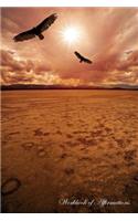 Desert Vultures Workbook of Affirmations Desert Vultures Workbook of Affirmations